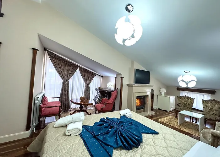 1919 Teto Ollga Pensjonat *